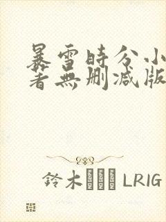 暴雪时分小说原著无删减版