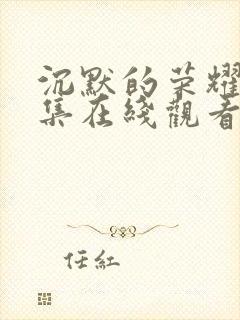 沉默的荣耀37集在线观看