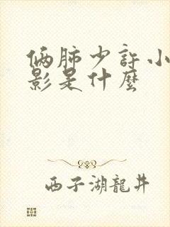 俩肺少许小结节影是什么