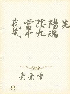 我当阴阳先生那几年九魂