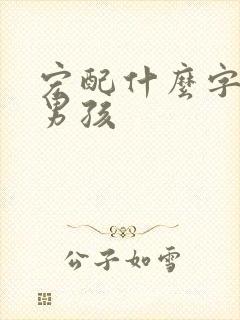 宏配什么字好听男孩