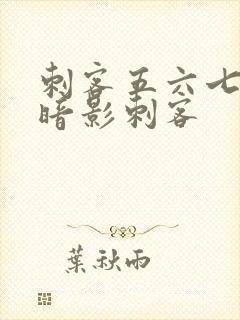 刺客五六七七大暗影刺客