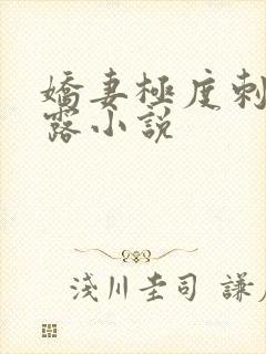 娇妻极度刺激暴露小说