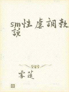 sm性虐调教小说
