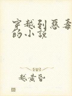 穿越到恶毒女主的小说