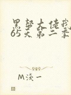 黑帮大佬我的365天第二季在线观看