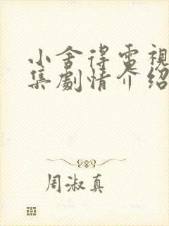 小舍得电视剧分集剧情介绍