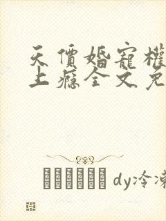 天价婚宠权少赖上瘾全文免费阅读