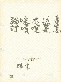 猫咪不流鼻涕就打喷嚏是怎么回事