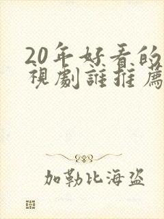 20年好看的电视剧谁推荐一下