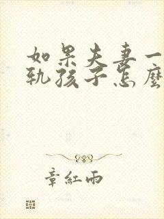 如果夫妻一方出轨孩子怎么判