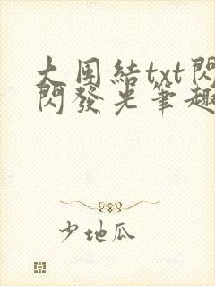 大团结txt闪闪发光笔趣阁