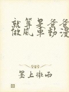 就算是爸爸也想做风车动漫