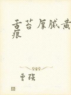 舌苔厚腻黄有齿痕封面