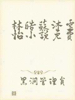 林皓苏沐云李静怡小说免费阅读