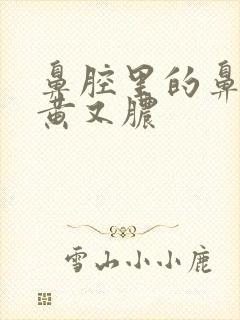 鼻腔里的鼻涕又黄又脓封面