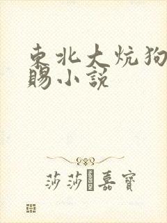 东北大炕狗儿恩赐小说封面
