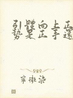 引体向上正确姿势是正手还是反手