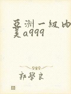 亚洲一级内射欧美a999封面