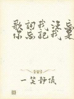 歌词我没忘记你你忘记我是什么歌