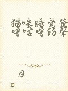 猫咪睡觉发出咕噜咕噜的声音