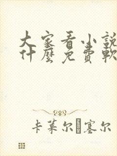 大家看小说都用什么免费软件