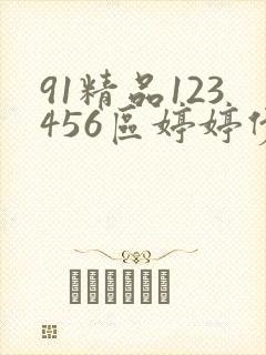 91精品123456区婷婷伊人久久