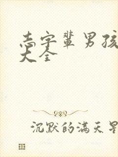 志字辈男孩取名大全封面