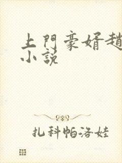 上门豪婿赵旭 小说