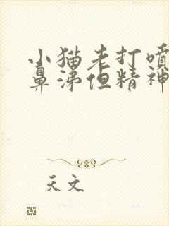 小猫老打喷嚏流鼻涕但精神很好