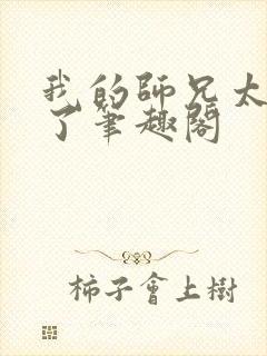 我的师兄太稳健了笔趣阁