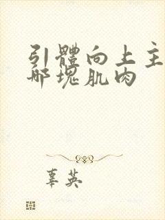 引体向上主要靠哪块肌肉