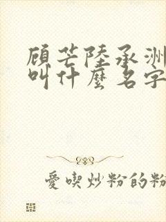 顾芒陆承洲小说叫什么名字