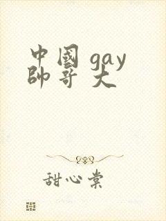 中国 gay 帅哥 大