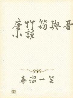 唐竹筠与晋王的小说