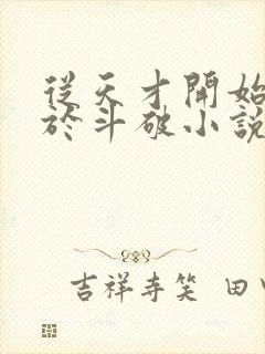 从天才开始无敌于斗破小说免费全集封面