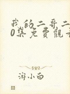 我的二哥二嫂40集免费观看封面