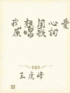 我想用心爱着你原唱歌词