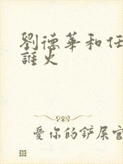 刘德华和任贤齐谁火