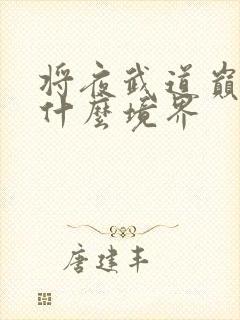 将夜武道巅峰是什么境界