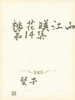 桃花映江山原著第14集封面