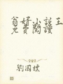 翁婿小说王梦莹免费阅读封面