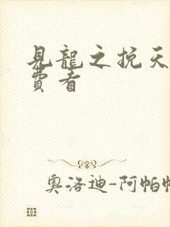 见龙之挽天倾免费看封面