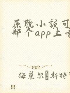 原耽小说可以在哪个app上看封面