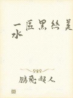 一区黑丝美女喷水封面