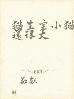 猫生完小猫肚子还很大