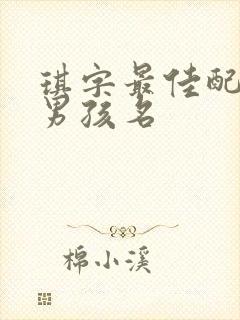 琪字最佳配字的男孩名