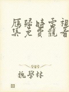 雁归时电视剧全集免费观看完整版