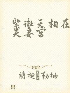 紫微天相在辰宫夫妻宫