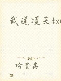 武道凌天txt